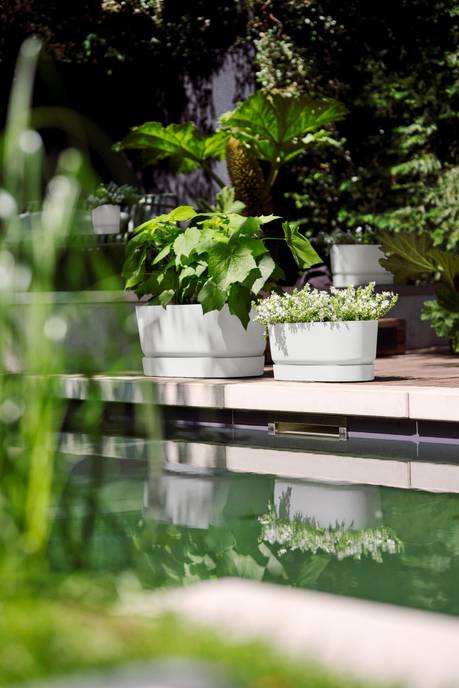 greenville pflanzgefäß 60cm rollen weiss